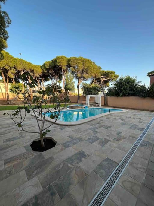 Villa Brasilia Chiclana de la Frontera Eksteriør billede